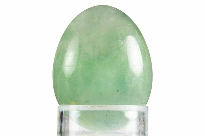 Polished Green Fluorite Egg - Fluorescent! #331771